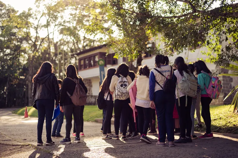 Estudantes seguem de costas em direção a uma construção antiga cercada de mata, com o sol atravessando os galhos.