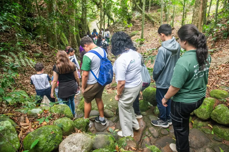 Grupo de estudantes e educadores desce um trecho de trilha com degraus de pedra, entre samambaias e mata fechada.