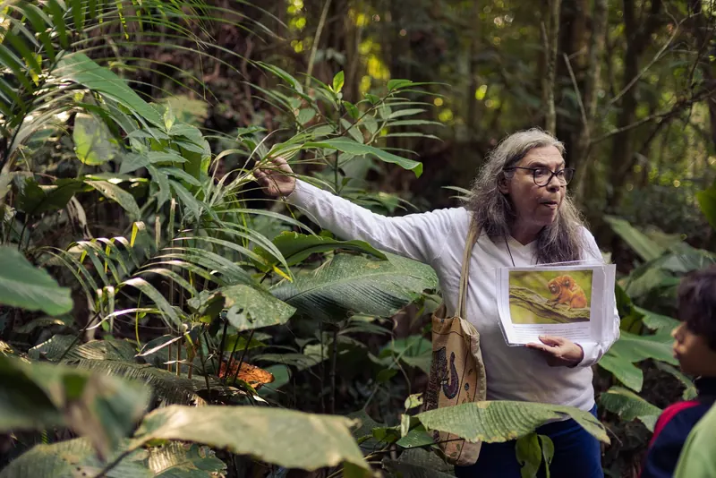 Educadora afasta a folhagem para mostrar uma planta aos estudantes, segurando a prancha do material de apoio.