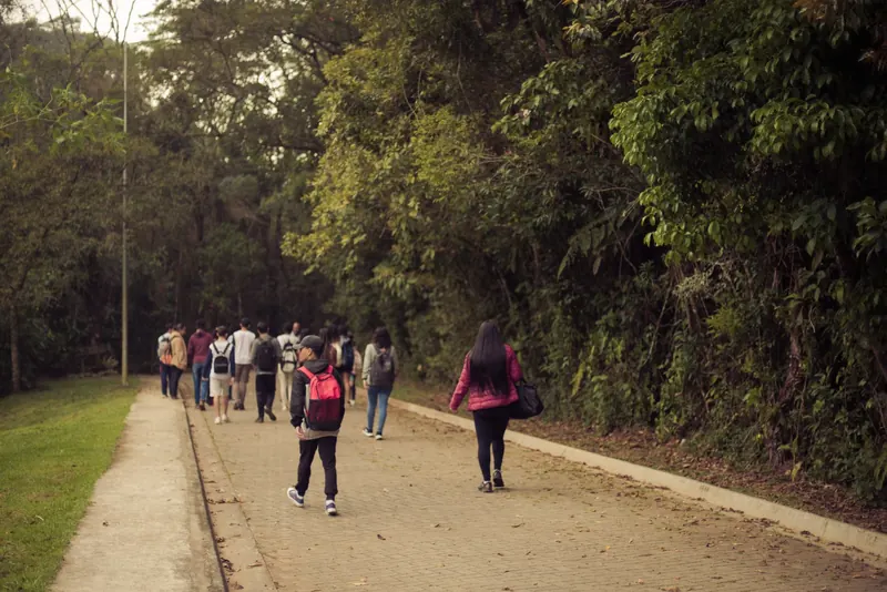 Estudantes com mochilas caminham de costas por uma trilha larga margeada por vegetação densa de Mata Atlântica.